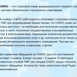 что такое снилс