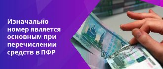 Данный набор цифр позволяет быстро идентифицировать плательщика в ПФР