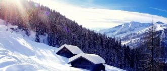 Фото: firesctock.ru
