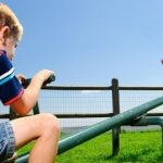 Фото: pixabay.com