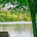 Фото: pixabay.com