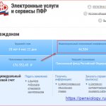 Как узнать сколько баллов на пенсионном счете