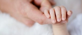 Who is entitled to it and how much: the Public Chamber explained the idea of introducing paternal capital