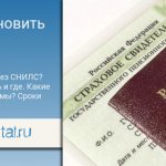 Можно ли восстановить снилс через госуслуги