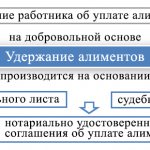 Начисление алиментов с заработной платы и порядок их удержания