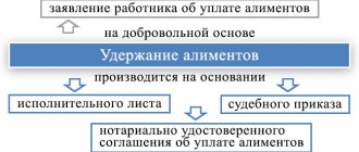 Calculation of alimony from wages and the procedure for their deduction