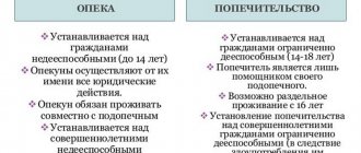 опекунство над недееспособным человеком права и обязанности