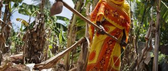 Elderly woman in Tanzania
