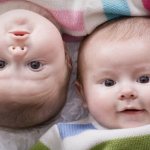 At the birth of twins, maternity capital is provided