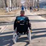 Amounts of disability pensions in 2019