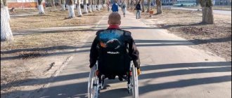 Amounts of disability pensions in 2019
