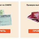 There is an epidemic of cyber fraud in Moscow and the Moscow region