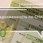 Debt according to SNILS