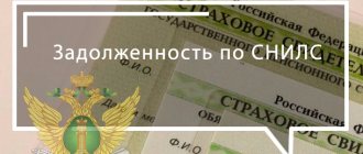Задолженность по СНИЛС
