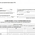 Application for divorce